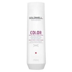 Dažytų plaukų šampūnas Goldwell Dualsenses Brilliance Color Shampoo 250ml