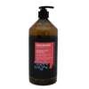 Plaukų šampūnas dažytiems plaukams Rica Colour Care Shampoo 1000ml
