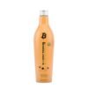 Plaukų tiesinimo priemonė GK Hair Nanoplastia Hair Treatment 650 ml