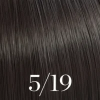 wella color touch 5/19
