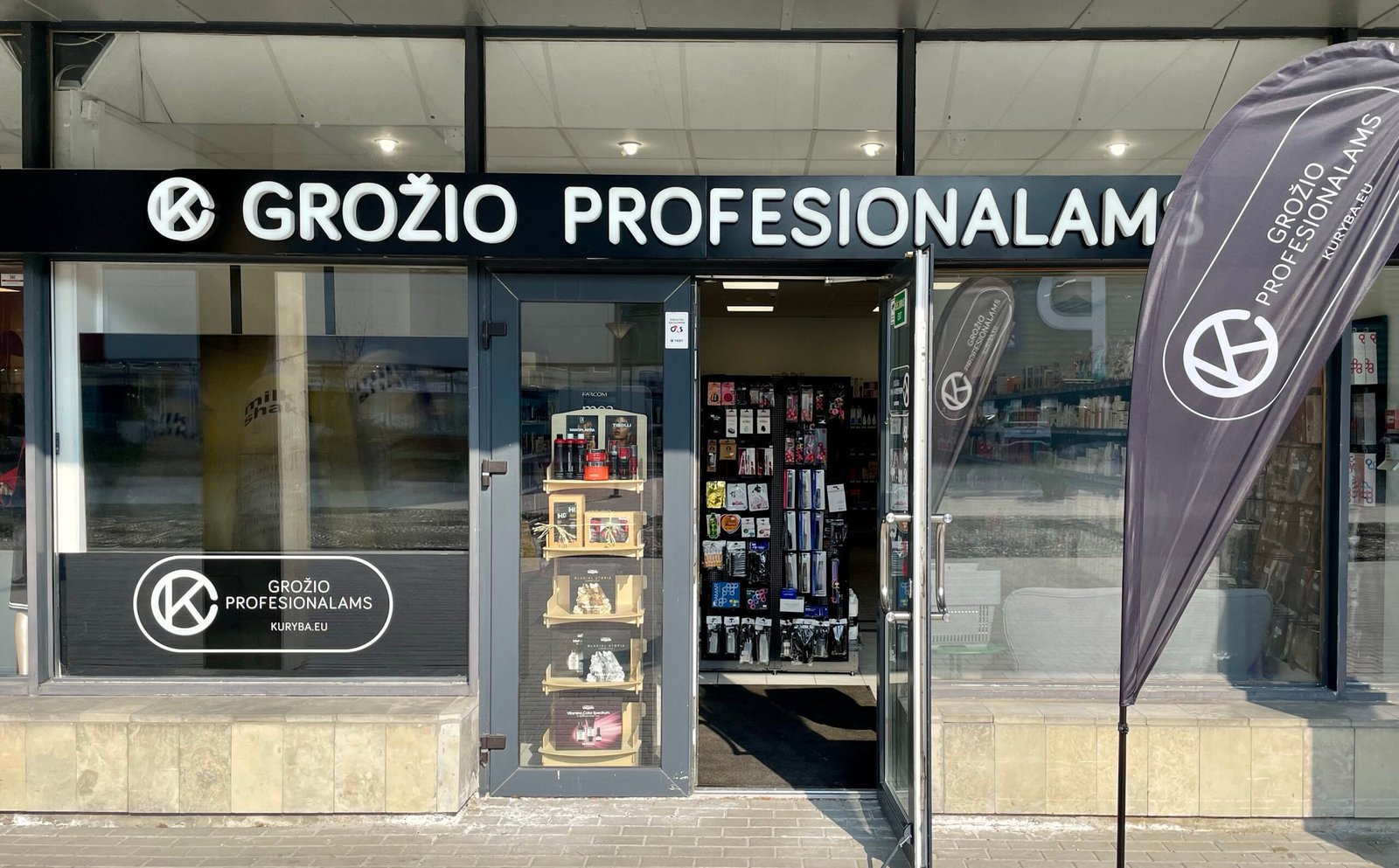 vilnius konstitucijos 1